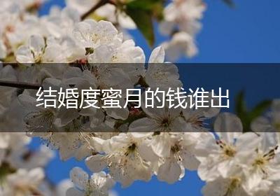 结婚度蜜月的钱谁出