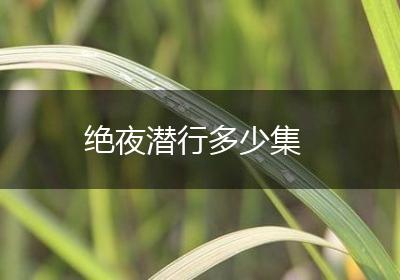 绝夜潜行多少集