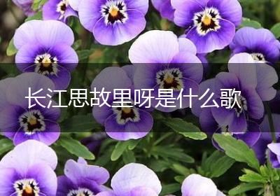 长江思故里呀是什么歌