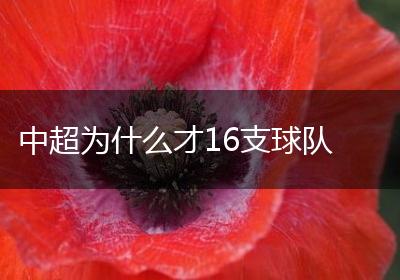 中超为什么才16支球队