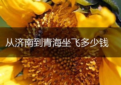 从济南到青海坐飞多少钱