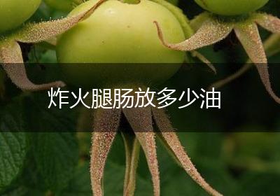 炸火腿肠放多少油