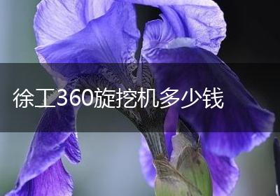 徐工360旋挖机多少钱