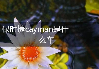 保时捷cayman是什么车
