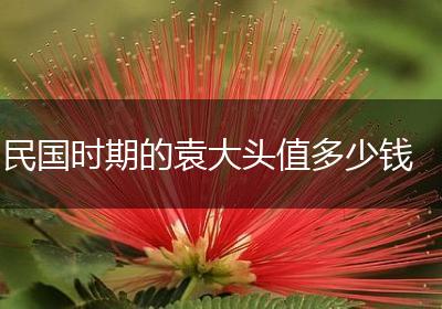 民国时期的袁大头值多少钱