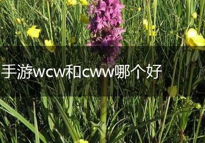 手游wcw和cww哪个好