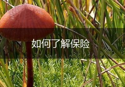 如何了解保险