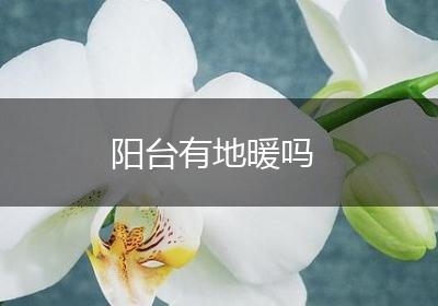 阳台有地暖吗