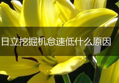 日立挖掘机怠速低什么原因