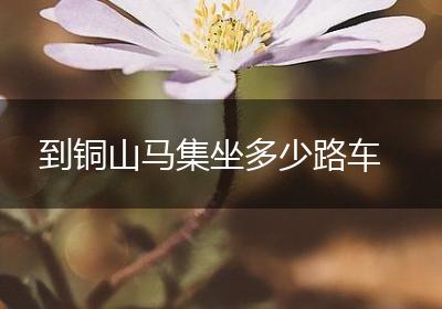 到铜山马集坐多少路车