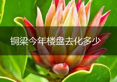 铜梁今年楼盘去化多少