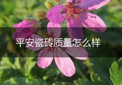 平安瓷砖质量怎么样