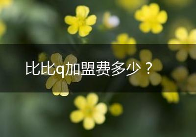 比比q加盟费多少？