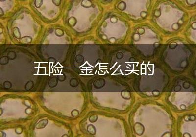 五险一金怎么买的