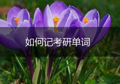 如何记考研单词