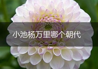 小池杨万里哪个朝代