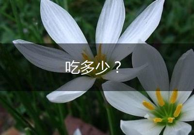 吃多少？