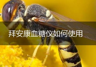 拜安康血糖仪如何使用