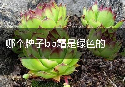 哪个牌子bb霜是绿色的