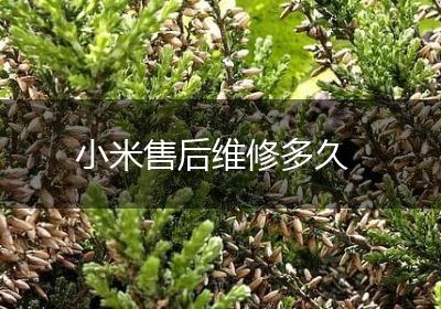 小米售后维修多久