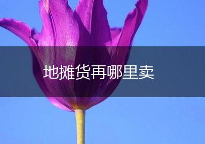 地摊货再哪里卖