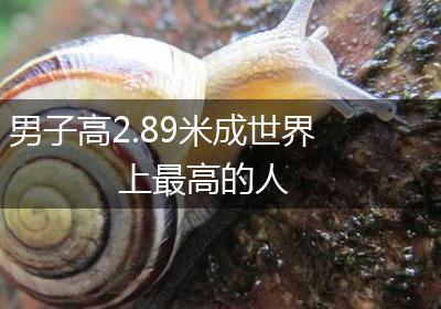 男子高2.89米成世界上最高的人