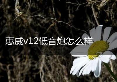 惠威v12低音炮怎么样