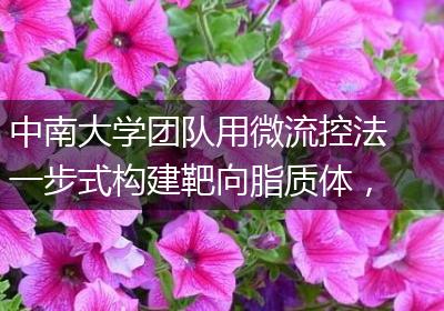 中南大学团队用微流控法一步式构建靶向脂质体，可用于肿瘤免疫疗法和基因疗法等