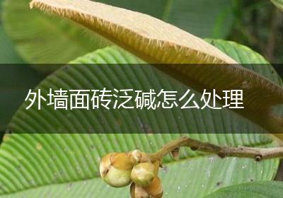 外墙面砖泛碱怎么处理