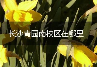 长沙青园南校区在哪里