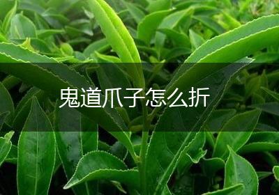鬼道爪子怎么折
