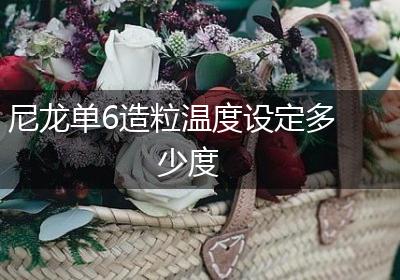 尼龙单6造粒温度设定多少度