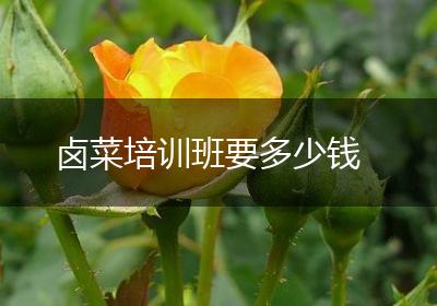 卤菜培训班要多少钱