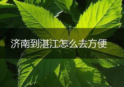 济南到湛江怎么去方便