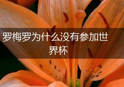 罗梅罗为什么没有参加世界杯