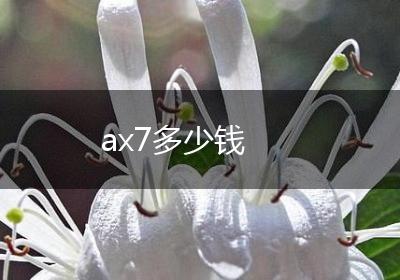 ax7多少钱