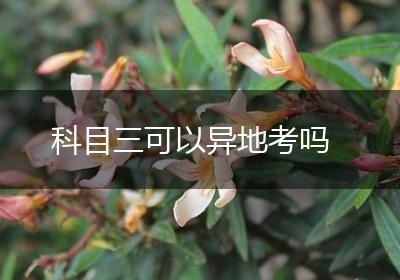 科目三可以异地考吗