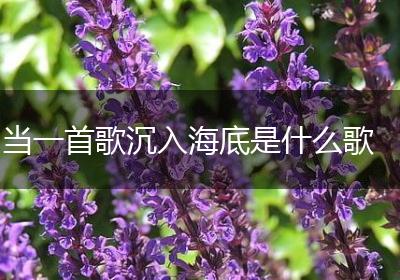当一首歌沉入海底是什么歌