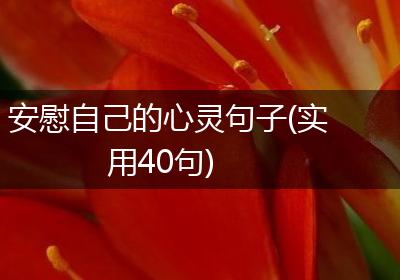 安慰自己的心灵句子(实用40句)
