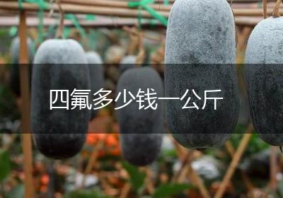 四氟多少钱一公斤