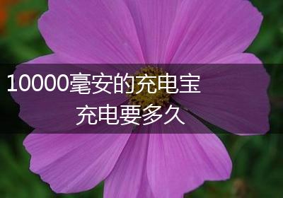 10000毫安的充电宝充电要多久