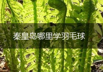 秦皇岛哪里学羽毛球