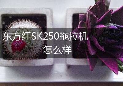 东方红SK250拖拉机怎么样