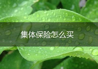 集体保险怎么买