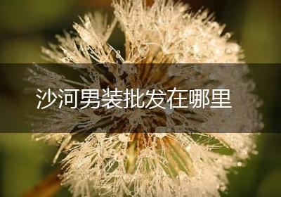 沙河男装批发在哪里