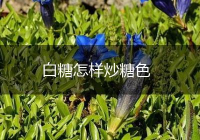 白糖怎样炒糖色