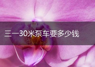 三一30米泵车要多少钱