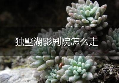 独墅湖影剧院怎么走