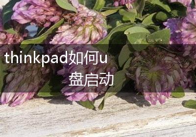 thinkpad如何u盘启动