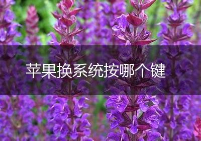 苹果换系统按哪个键